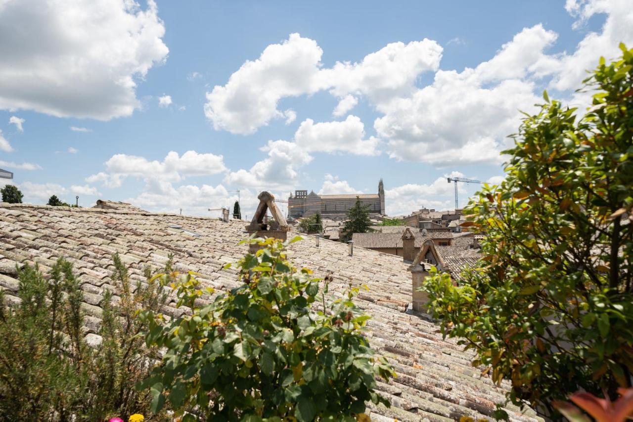 מלון Orvieto In Terrazza מראה חיצוני תמונה