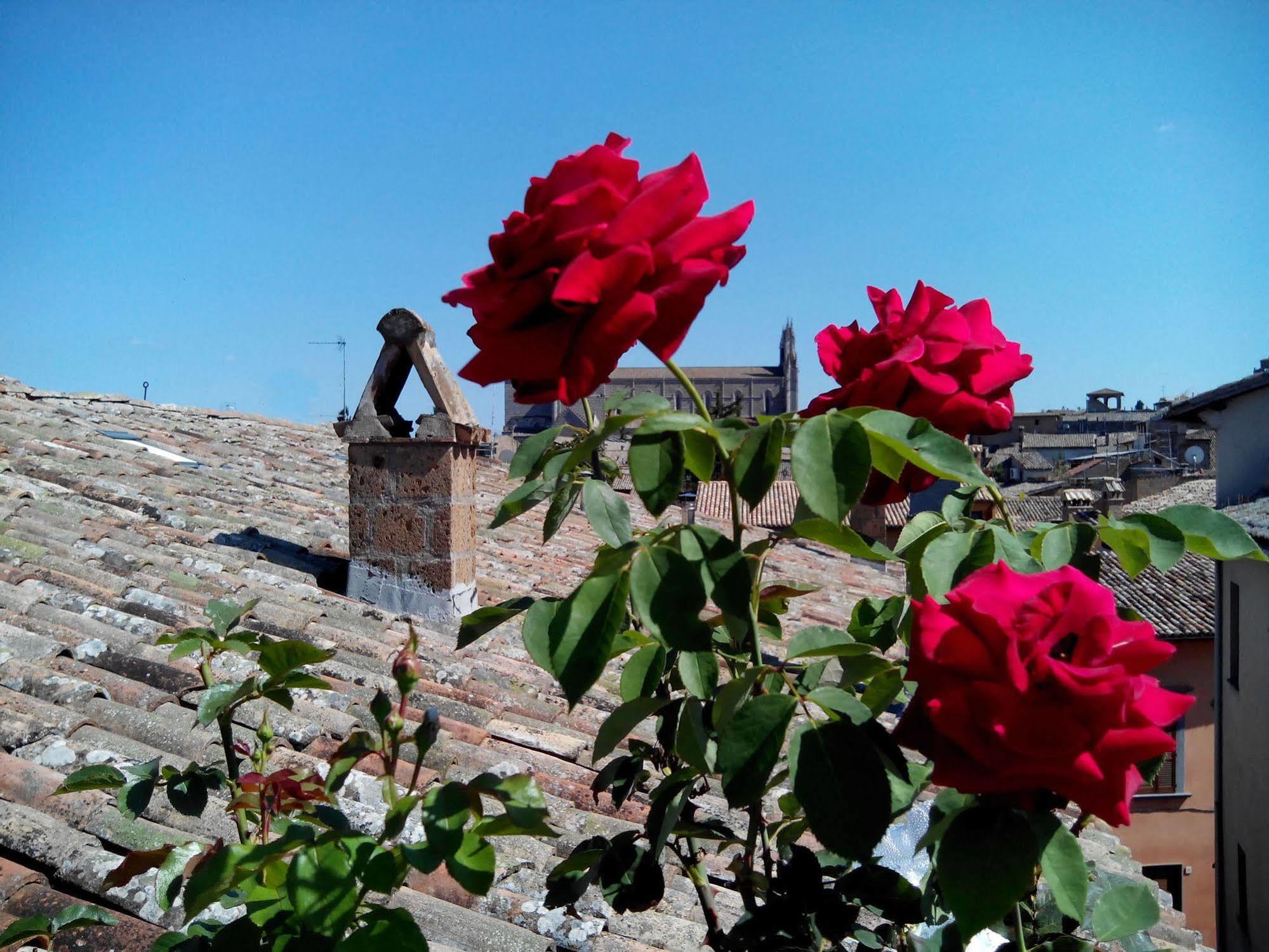 מלון Orvieto In Terrazza מראה חיצוני תמונה