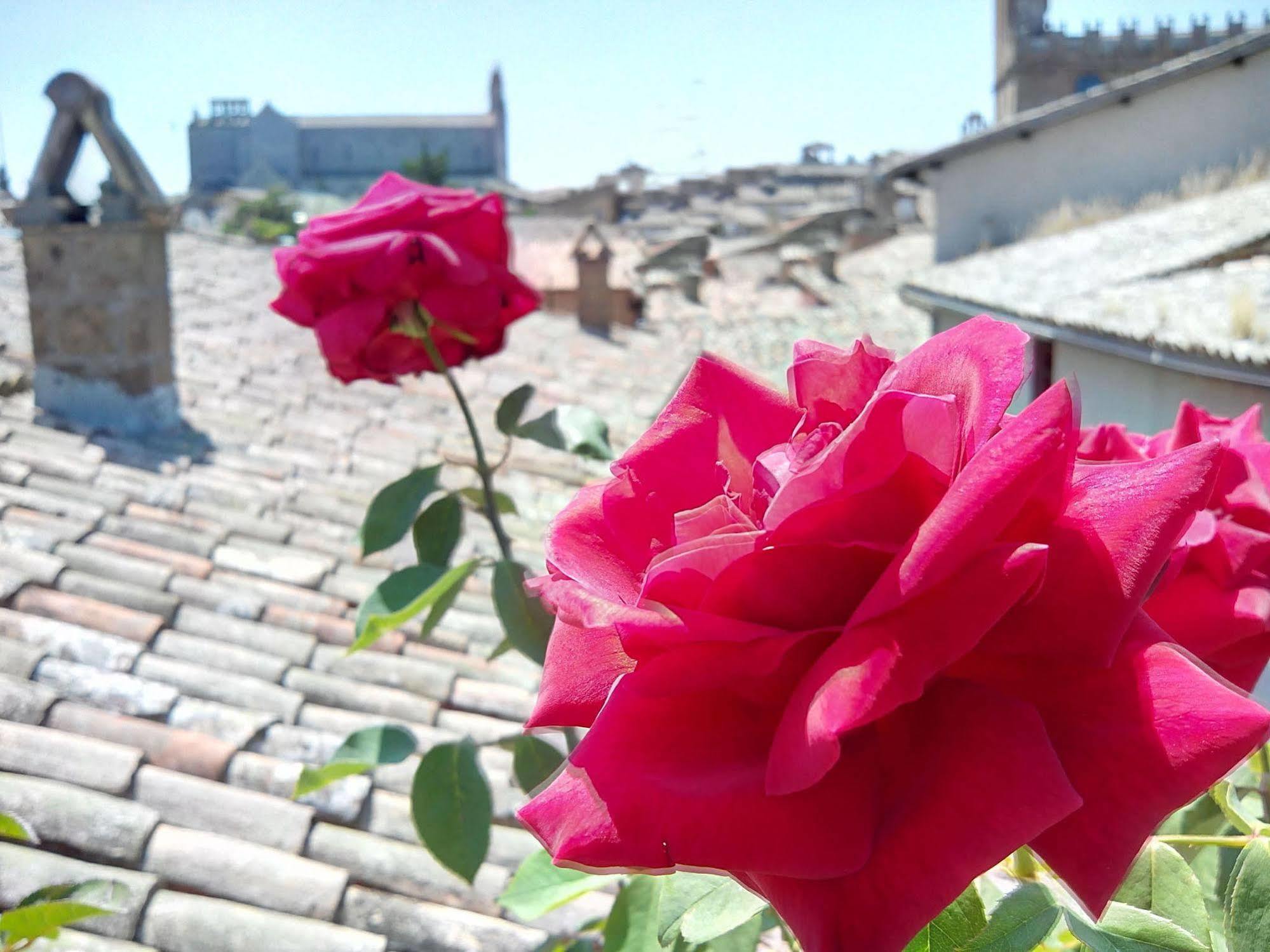 מלון Orvieto In Terrazza מראה חיצוני תמונה